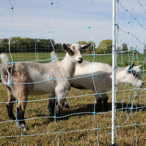 How to Choose the Right Electric Netting: Sheep and Goat/Utility Edition