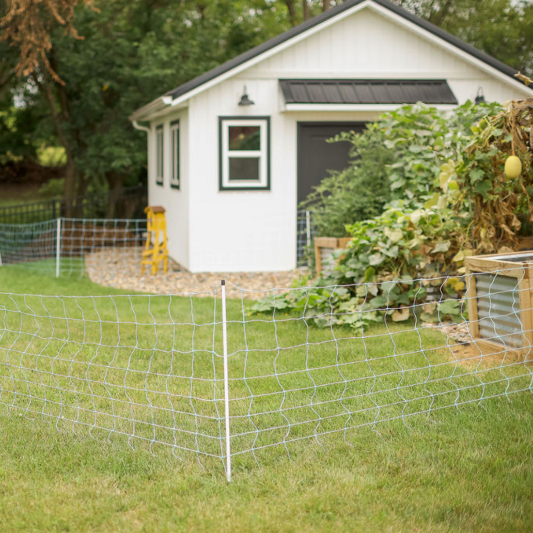 Spring Bounty: Choosing the Best Crops for Your Homestead Garden