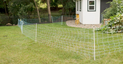 7 Electric Fence Netting Mistakes To Avoid