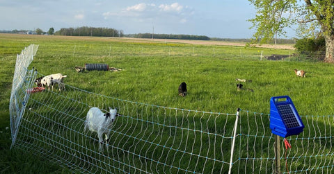 A Comprehensive Guide to Electric Fence Maintenance