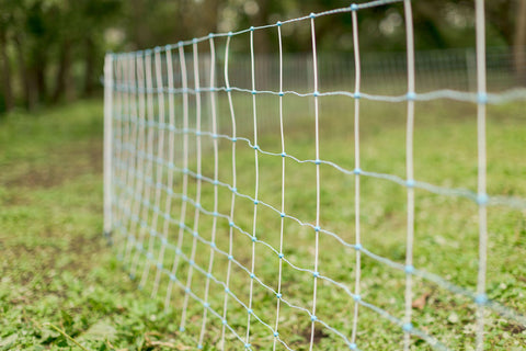 Positive/Negative Electric Netting
