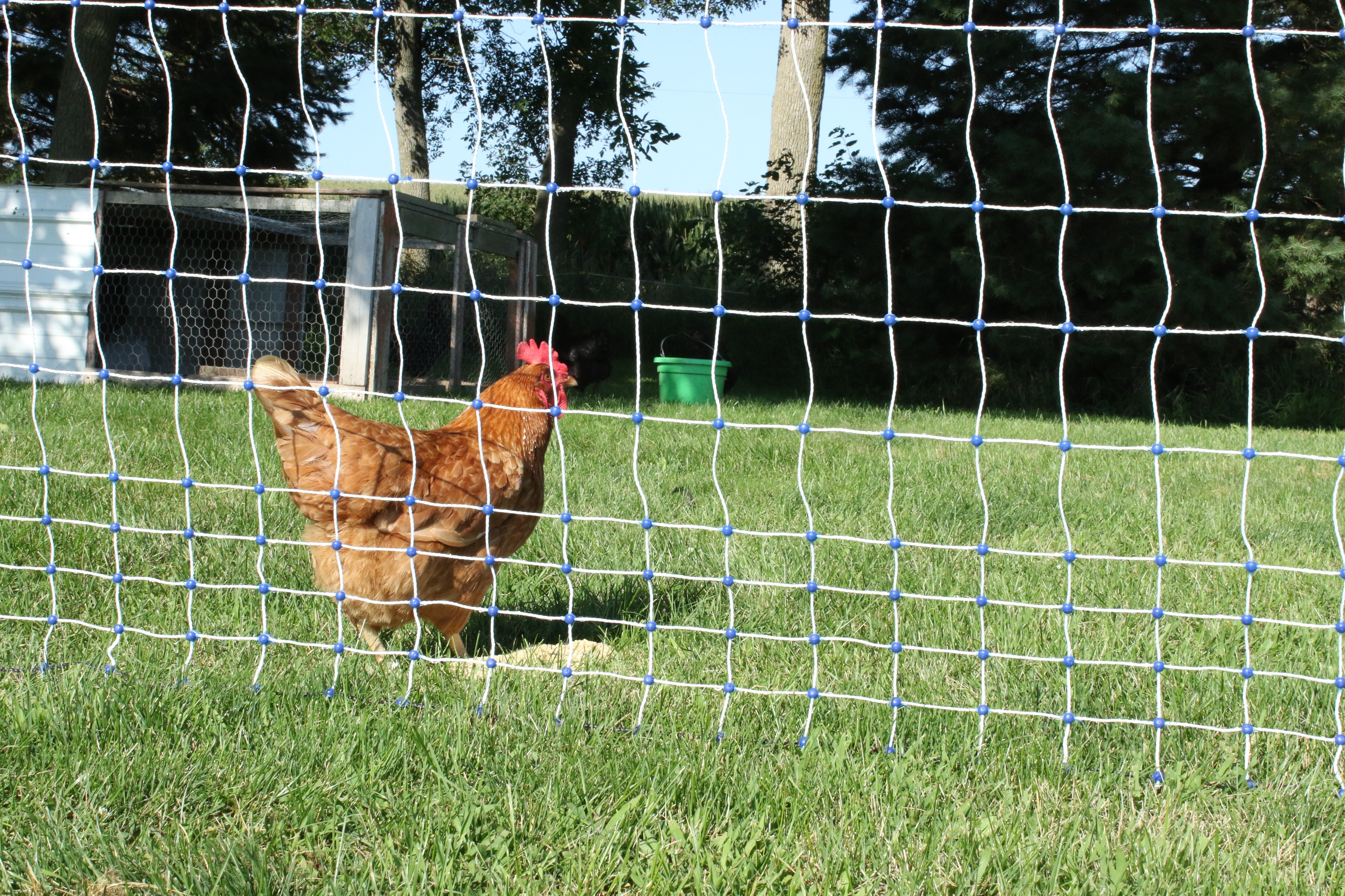 Electric Poultry Fence Kits
