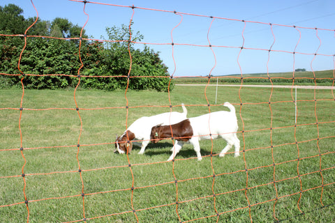 Standard Electric Netting