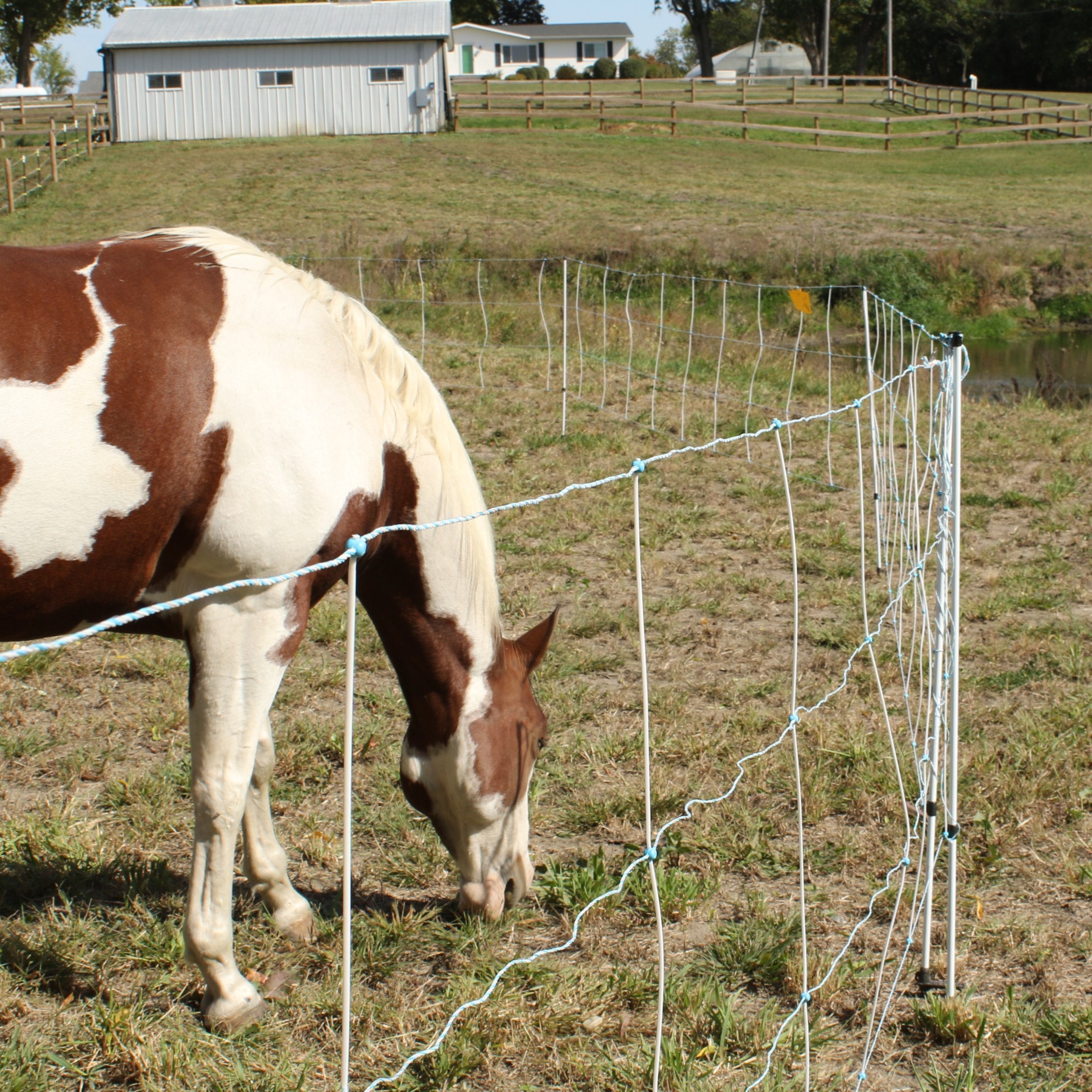 electric netting for horses, horse electric fence