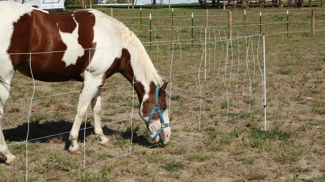 Electric Horse Netting