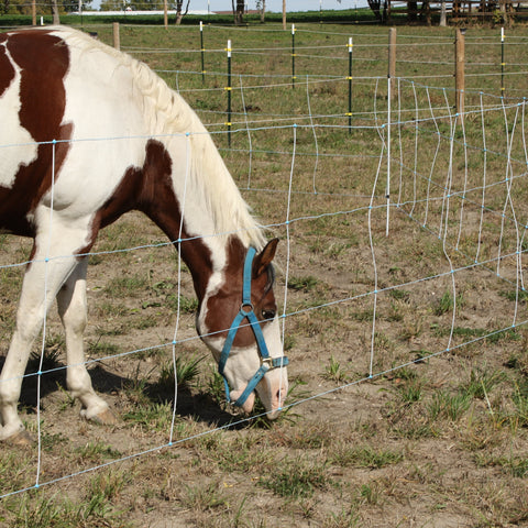 Electric Horse Netting