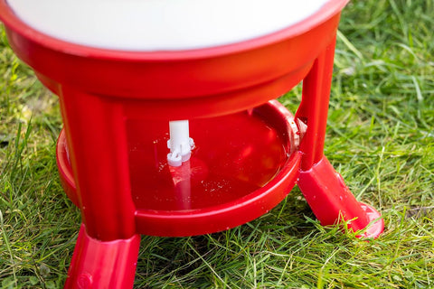30L Top-Fill Poultry Drinker