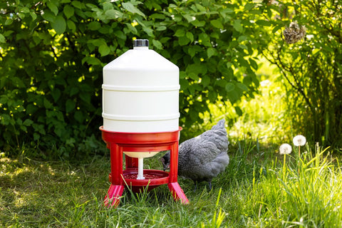 30L Top-Fill Poultry Drinker