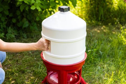 30L Top-Fill Poultry Drinker