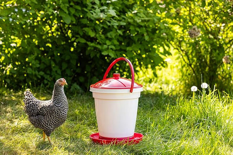Poultry Waterer Bucket