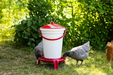 Poultry Waterer Bucket