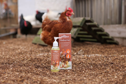 Vitamin Concentrate VitalBoost 4in1