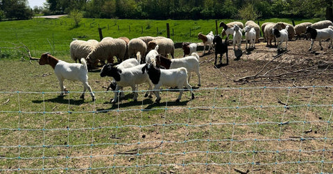 Utility All-In-One Electric Netting Kit