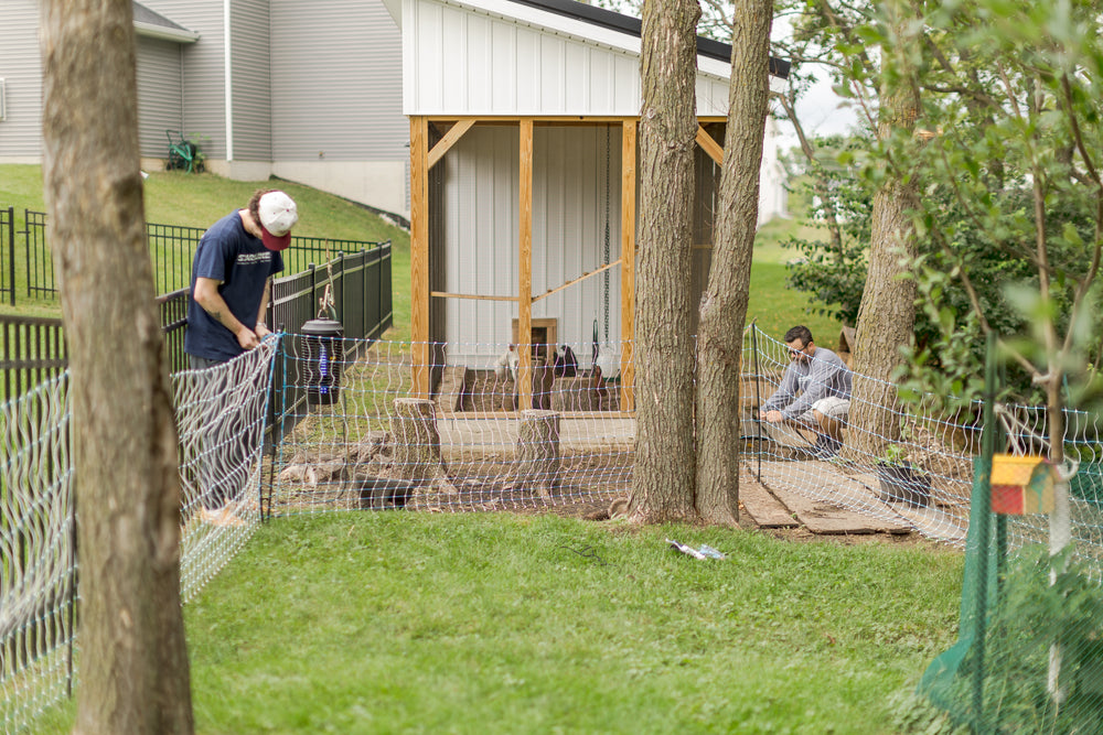 Standard 42" Electric Poultry Netting