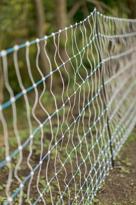 Standard 42" Electric Poultry Netting