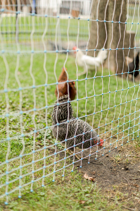 Premium Electric Poultry Netting Kit