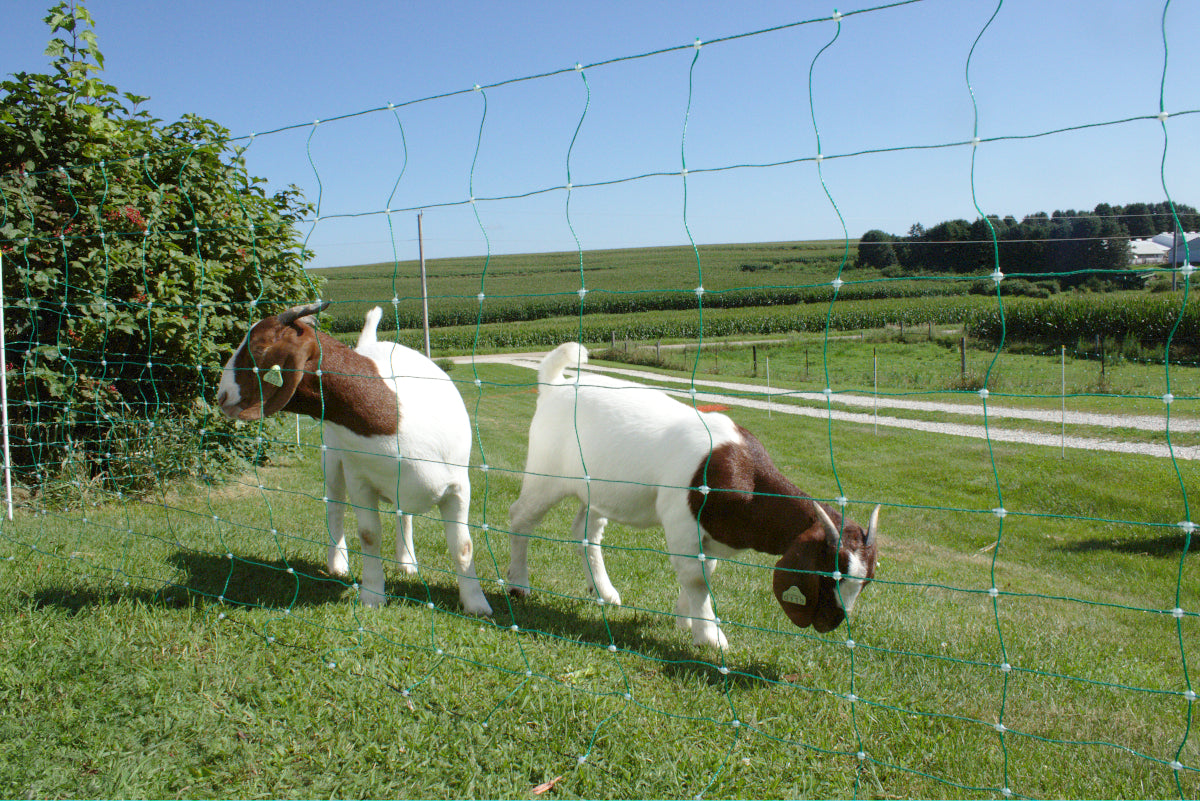 starkline electric netting, electric netting, electric poultry netting, electric sheep netting, electric goat netting, electric net fence, electric fence netting, electric netting, electric netting kit, electric netting starter kit