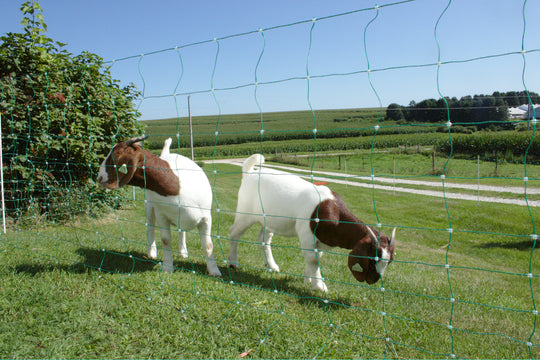 starkline electric netting, electric netting, electric poultry netting, electric sheep netting, electric goat netting, electric net fence, electric fence netting, electric netting, electric netting kit, electric netting starter kit