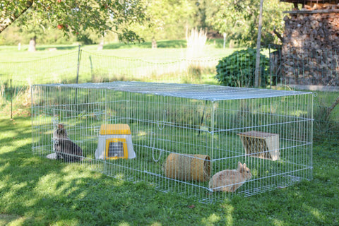 Rabbit Burrow Bunny Base