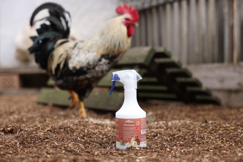 MiteCleaner