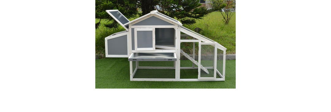 Modern Polycarbonate Chicken Coop with Attached Run and Metal Pull-Out Tray
