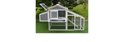 Modern Polycarbonate Chicken Coop with Attached Run and Metal Pull-Out Tray
