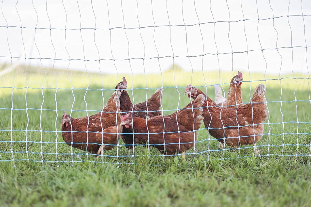 Starkline Netting: Happy Chickens –