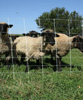 sheep & goat electric netting