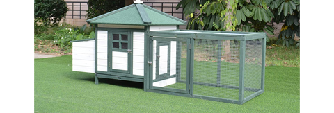 Backyard Chicken Coop, Includes Nesting Box