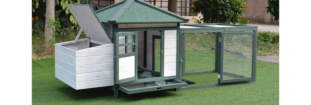 Backyard Chicken Coop, Includes Nesting Box