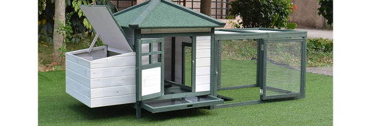 Backyard Chicken Coop, Includes Nesting Box