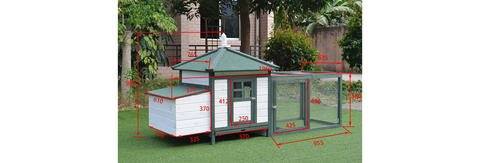 Backyard Chicken Coop, Includes Nesting Box