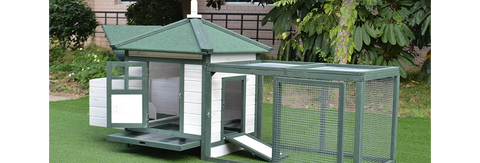Backyard Chicken Coop, Includes Nesting Box